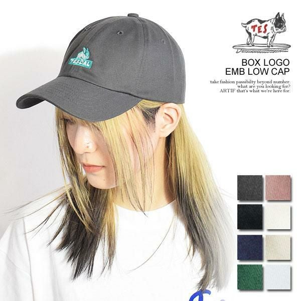 The Endless Summer エンドレスサマー TES BOX LOGO EMB LOW-CAP