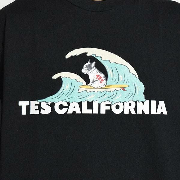 The Endless Summer エンドレスサマー TES CALIFORNIA WAVE LONG