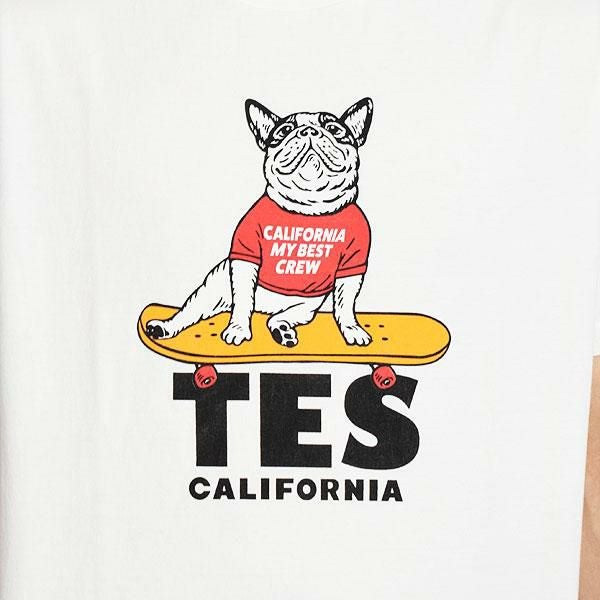 The Endless Summer エンドレスサマー TES SKATE BUHI T-SHIRT -WHITE-