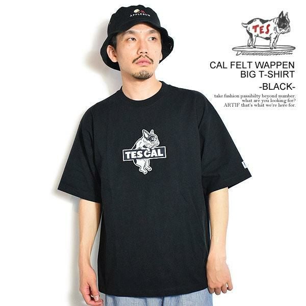 The Endless Summer エンドレスサマー TES CAL FELT WAPPEN BIG T