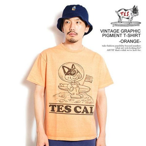 The Endless Summer エンドレスサマー TES VINTAGE GRAPHIC PIGMENT T 