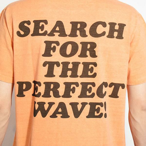 The Endless Summer エンドレスサマー TES VINTAGE GRAPHIC PIGMENT T