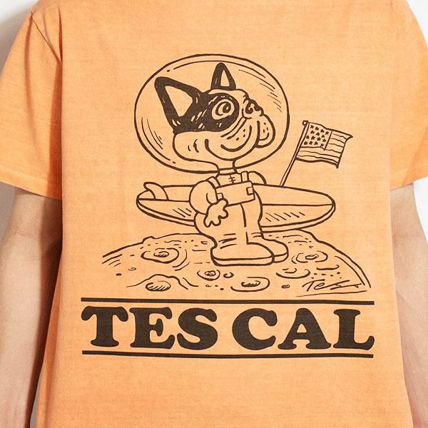 The Endless Summer エンドレスサマー TES VINTAGE GRAPHIC PIGMENT T