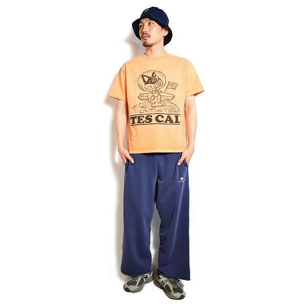 The Endless Summer エンドレスサマー TES VINTAGE GRAPHIC PIGMENT T