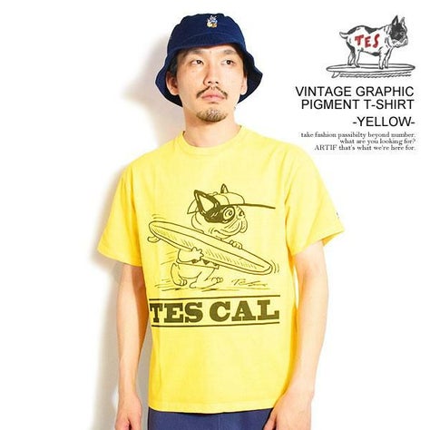 The Endless Summer エンドレスサマー TES VINTAGE GRAPHIC PIGMENT T 