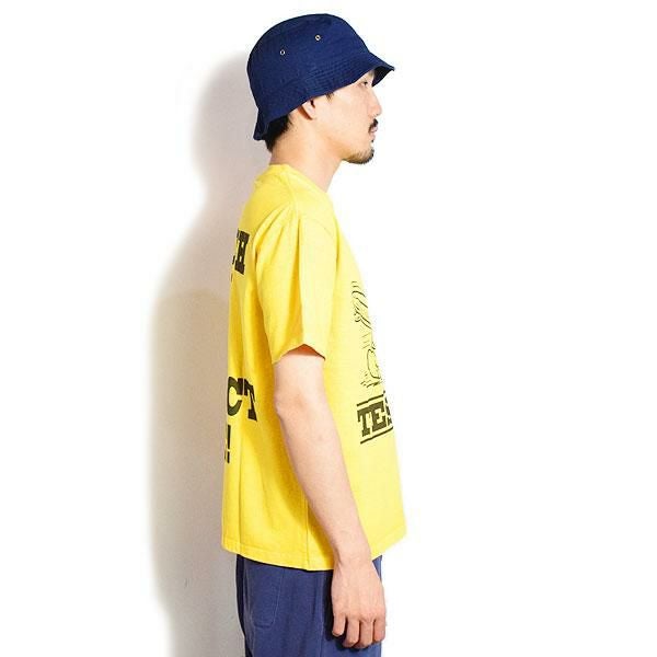 The Endless Summer エンドレスサマー TES VINTAGE GRAPHIC PIGMENT T