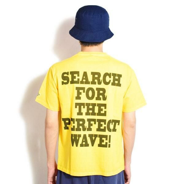 The endless summer グラフィック The Endless Summer エンドレスサマー TES VINTAGE GRAPHIC PIGMENT T