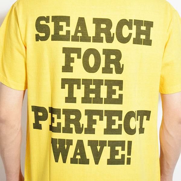 The endless summer グラフィック The Endless Summer エンドレスサマー TES VINTAGE GRAPHIC PIGMENT T