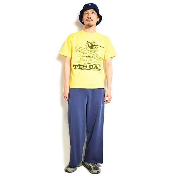 The Endless Summer エンドレスサマー TES VINTAGE GRAPHIC PIGMENT T