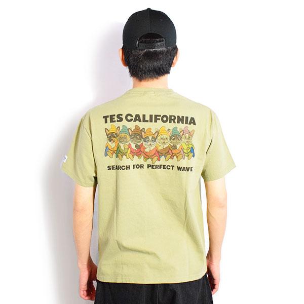 The Endless Summer エンドレスサマー TES SEVENS BUHI-TEE -GREEN GRAY-