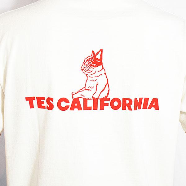 The Endless Summer エンドレスサマー TES SAME OLD TEE -WHITE-