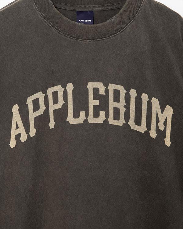 APPLEBUM アップルバム Damaged Short T-shirt