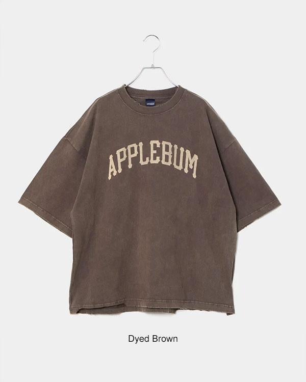 APPLEBUM アップルバム Damaged Short T-shirt