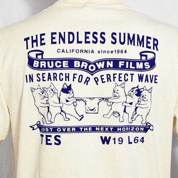 ザ・エンドレス・サマー XL TES Endless Summer XL The Endless Summer（エンドレスサマー） tシャツ TES SKULL RIDER