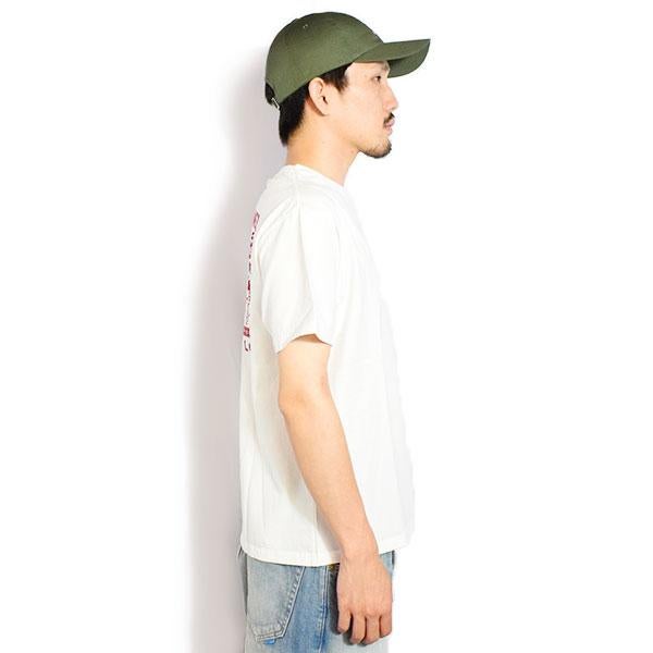 The Endless Summer エンドレスサマー TES HEAVY DUTY STANDARD T