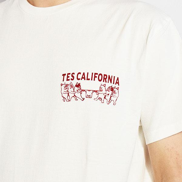 The Endless Summer エンドレスサマー TES HEAVY DUTY STANDARD T