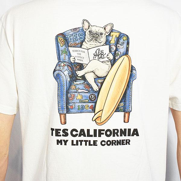 The Endless Summer エンドレスサマー TES 4COLOR BUHI CHAIR T-SHIRT