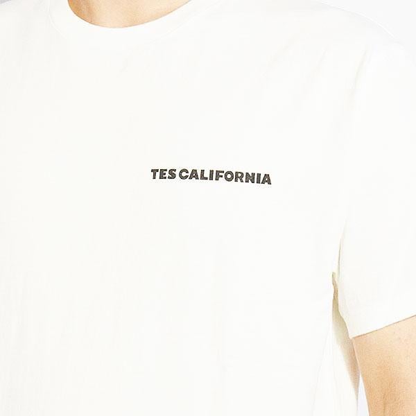 The Endless Summer エンドレスサマー TES 4COLOR BUHI CHAIR T-SHIRT