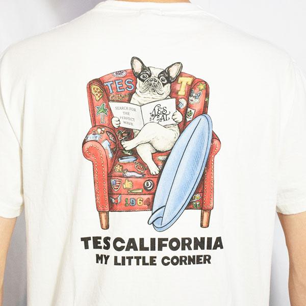 The Endless Summer エンドレスサマー TES 4COLOR BUHI CHAIR T-SHIRT