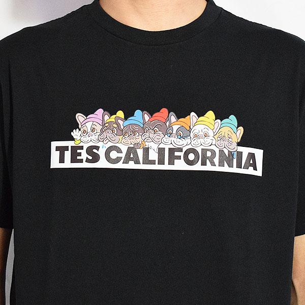 The Endless Summer エンドレスサマー TES SEVENS BUHI BOX LOGO T
