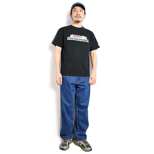 The Endless Summer エンドレスサマー TES SEVENS BUHI BOX LOGO T