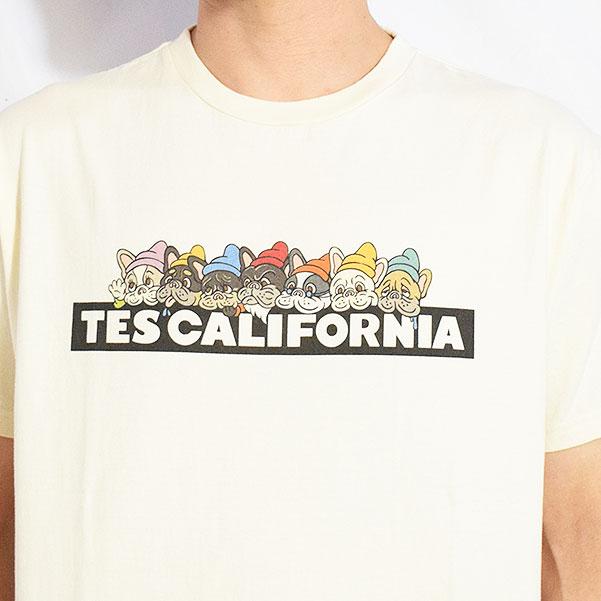 The Endless Summer エンドレスサマー TES SEVENS BUHI BOX LOGO T