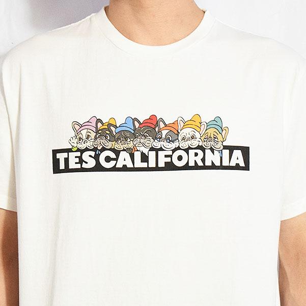 The Endless Summer エンドレスサマー TES SEVENS BUHI BOX LOGO T