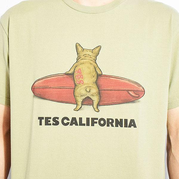 The Endless Summer エンドレスサマー TES 4COLOR BUHI SURFER T-SHIRT