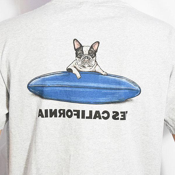 The Endless Summer エンドレスサマー TES 4COLOR BUHI SURFER T-SHIRT