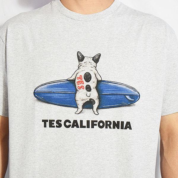 The Endless Summer エンドレスサマー TES 4COLOR BUHI SURFER T-SHIRT