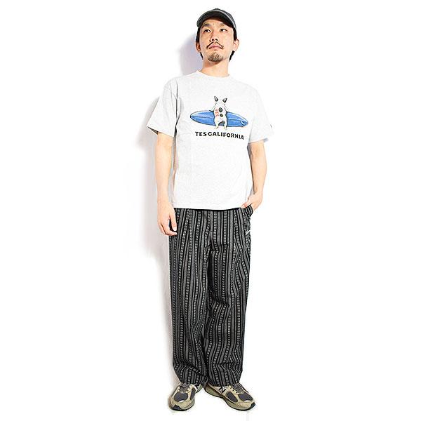 The Endless Summer エンドレスサマー TES 4COLOR BUHI SURFER T-SHIRT