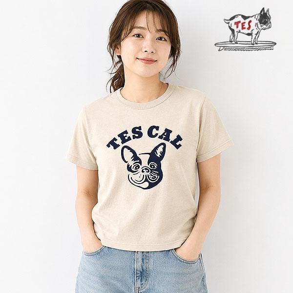 The Endless Summer エンドレスサマー TES ORGANIC COTTON FLOCK PT