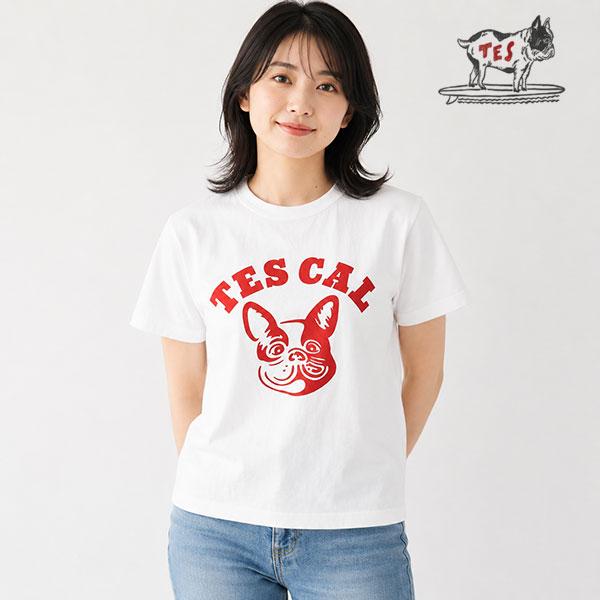 The Endless Summer エンドレスサマー TES ORGANIC COTTON FLOCK PT