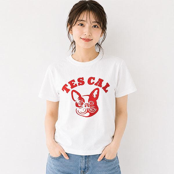 The Endless Summer エンドレスサマー TES ORGANIC COTTON FLOCK PT