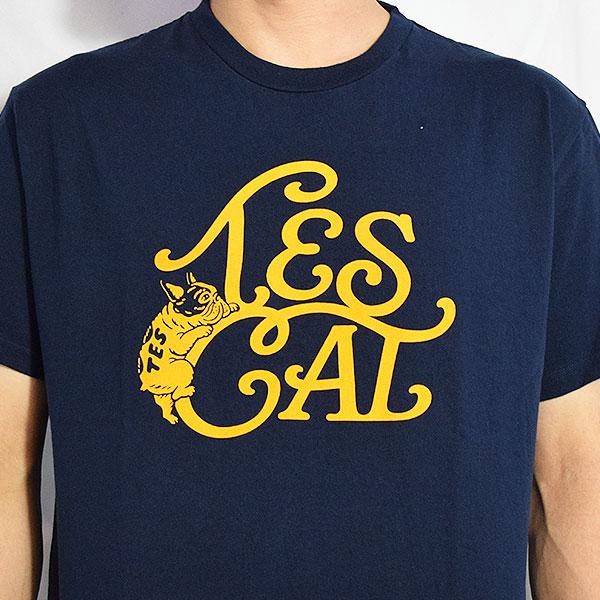 The Endless Summer エンドレスサマー TES VINTAGE LOGO FLOK PT T