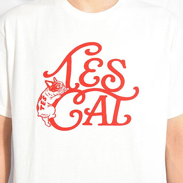 アトリエgg ヴィンテージエンブレムTシャツ The Endless Summer エンドレスサマー TES VINTAGE LOGO FLOK PT T