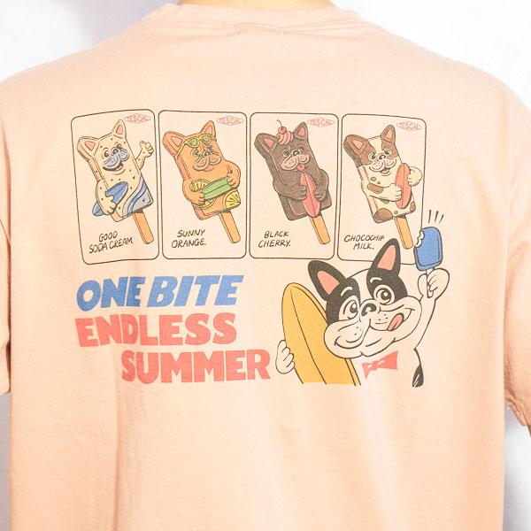 ザ・エンドレス・サマー XL TES Endless Summer XL The Endless Summer エンドレスサマー TES ONE BITE ENDLESS SUMMER T