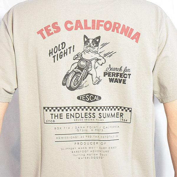 The Endless Summer エンドレスサマー TES DIRT RACER T-SHIRT -L.GRAY-