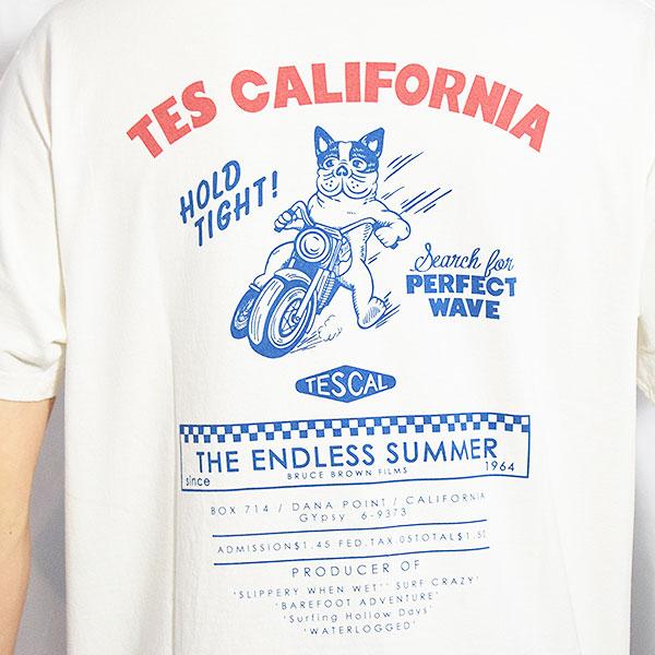 エンドレスサマー 40th アニバーサリーBOX 【Tシャツ未開封付き！！】 The Endless Summer エンドレスサマー TES DIRT RACER T-SHIRT -WHITE-