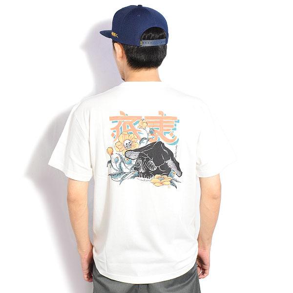 RADIALL ラディアル HALLUCINATION - CREW NECK T-SHIRT S/S