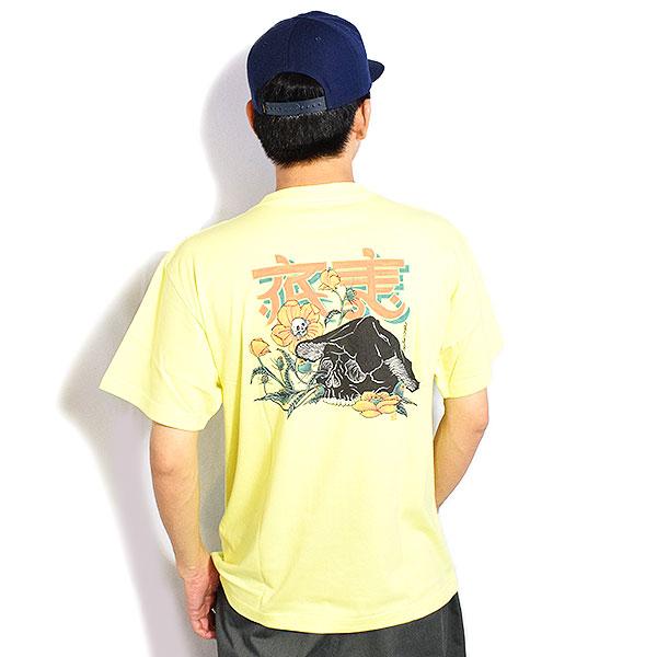 ラディアル RADIALL ラディアル HALLUCINATION - CREW NECK T-SHIRT S/S
