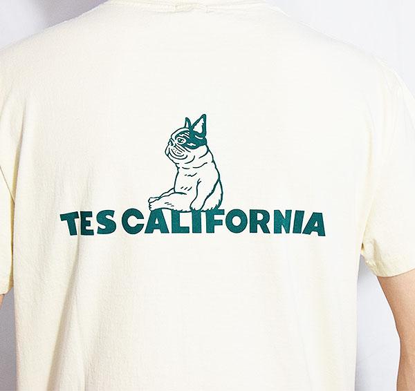 The Endless Summer エンドレスサマー TES SAME OLD TEE -IVORY-
